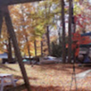 Meet your Posher, Shy